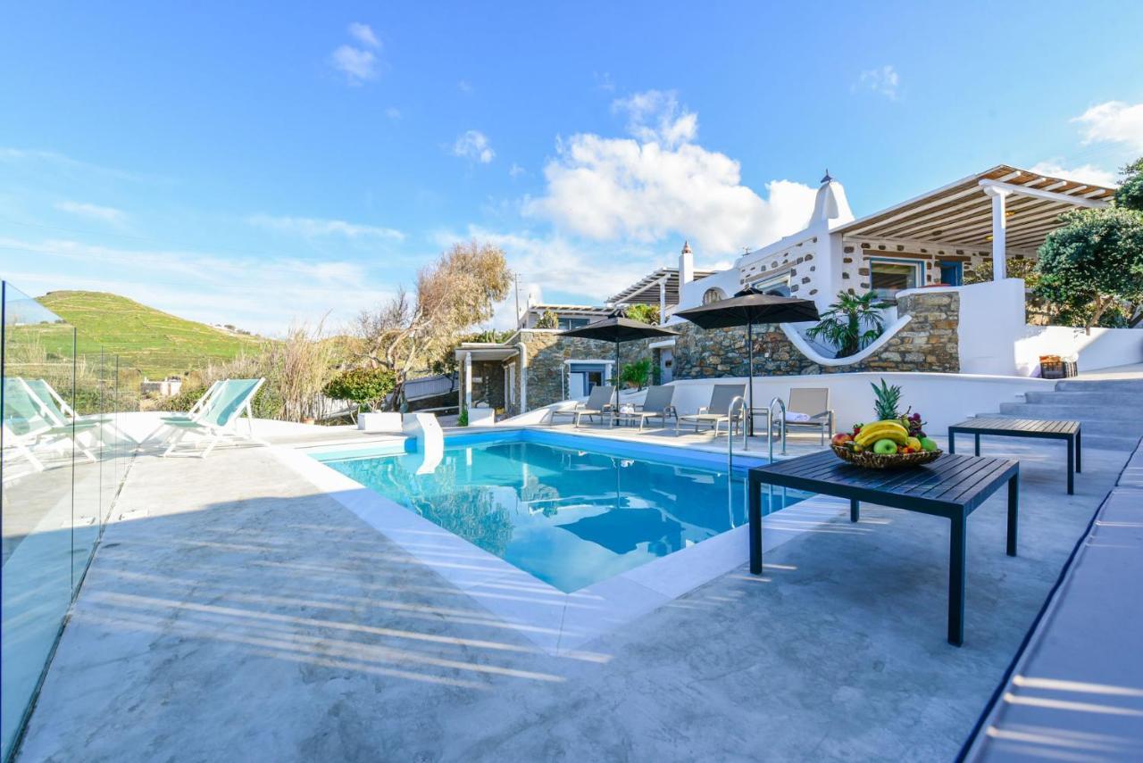 Villa Irina Mykonos Ftelia  Esterno foto