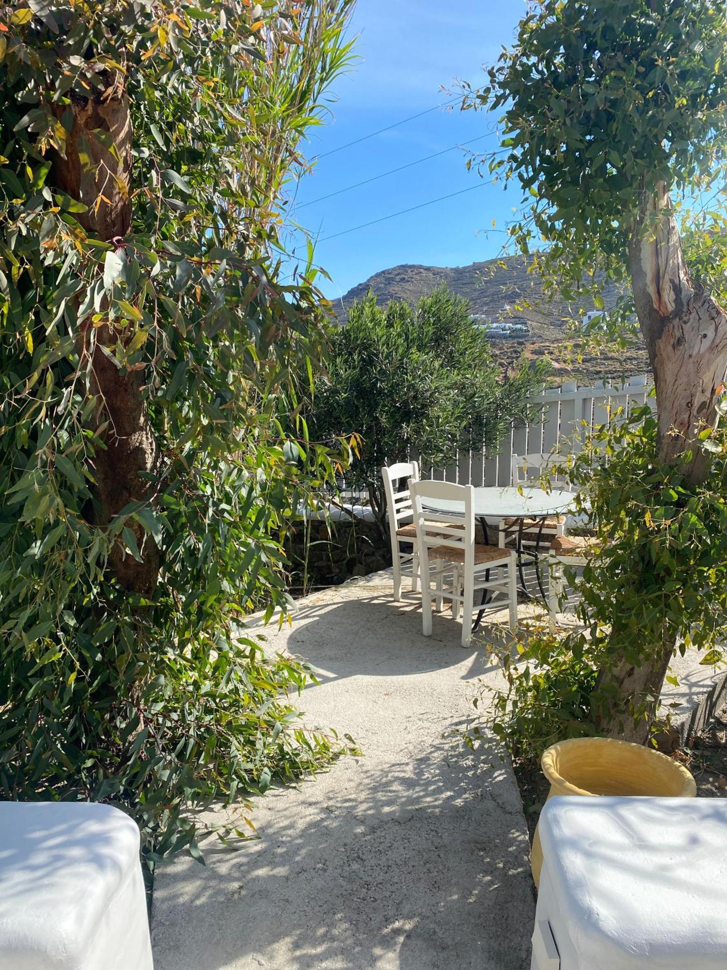 Villa Irina Mykonos Ftelia  Esterno foto